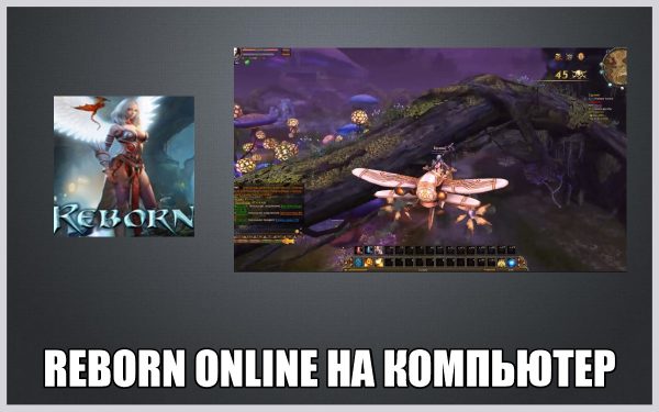Обзор игры Reborn online на русском языке